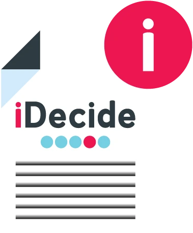 about the project